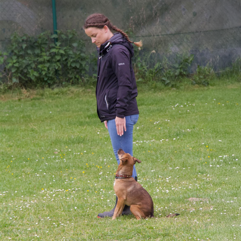 Einzeltraining