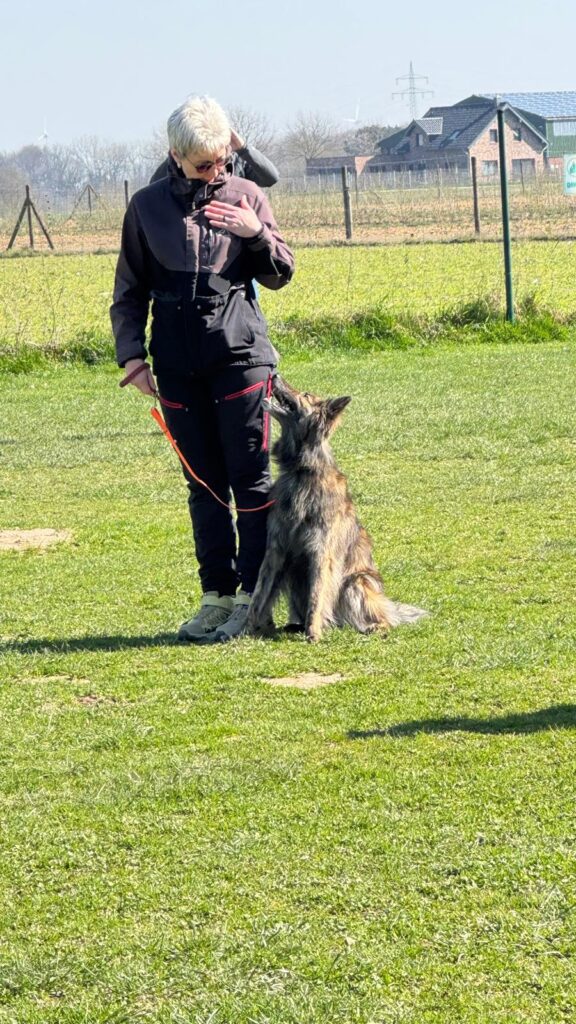 Einblick in das Training