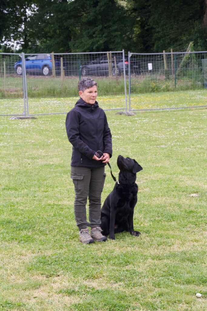 Einblick in das Training — Bild 2